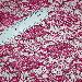 Lace Fabric (FXHB003)